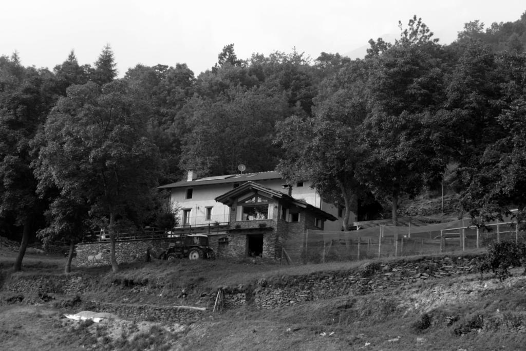 Locanda Il Campo Della Quercia San Damiano Macra Ngoại thất bức ảnh